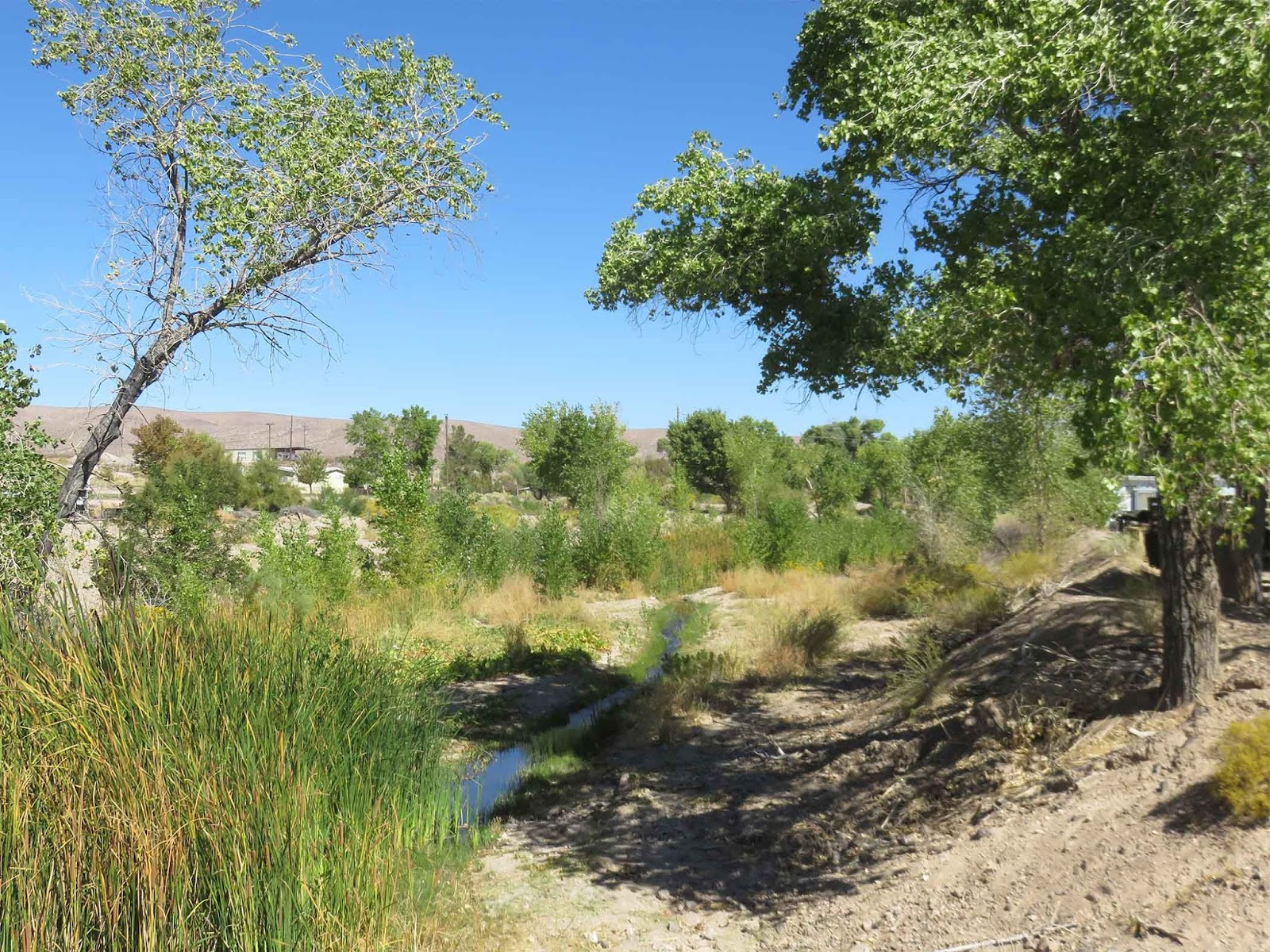 Open desert near Beatty Nevada
