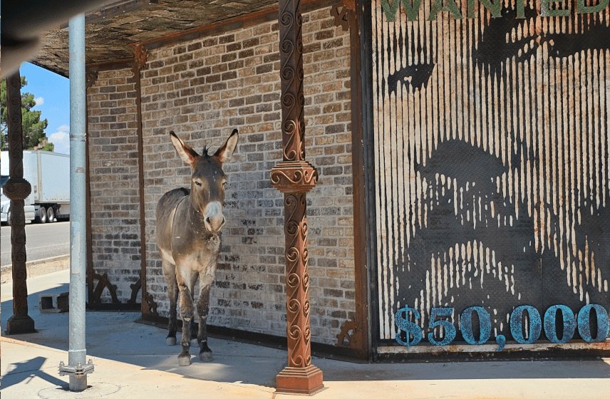 Beatty Burros