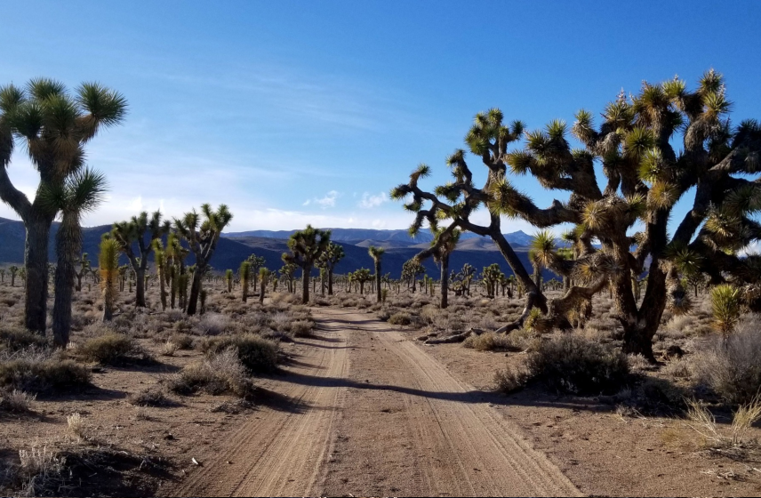 Death Valley National Park